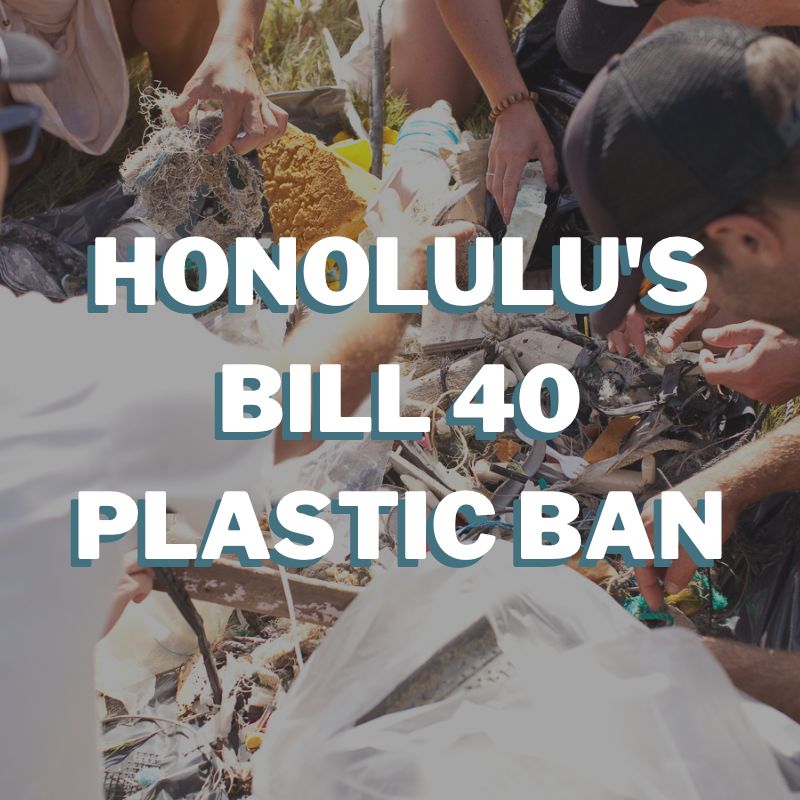 Sustainable Coastlines